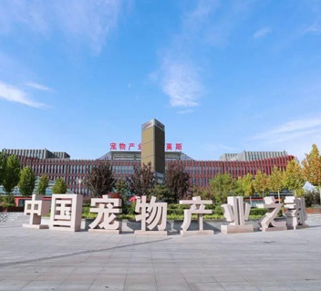 河北南和区宠物产业园